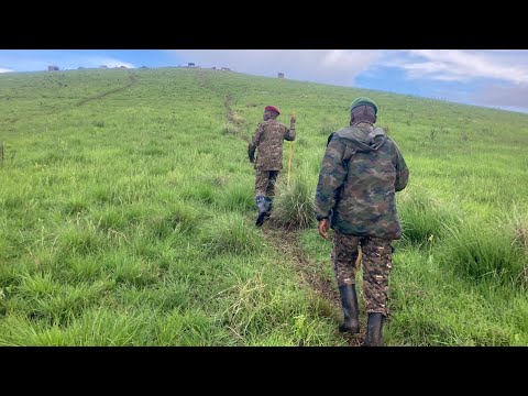 FANDE RUGABO NA  MAVUGO BIGEREYE MIKARATI NA KAMOMBO NTUCIKWE NA YA MAKURU