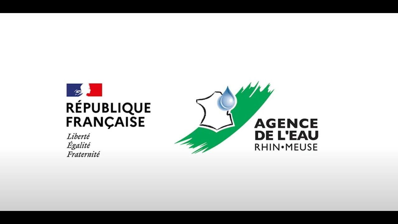 Image d'illustration de la vidéo