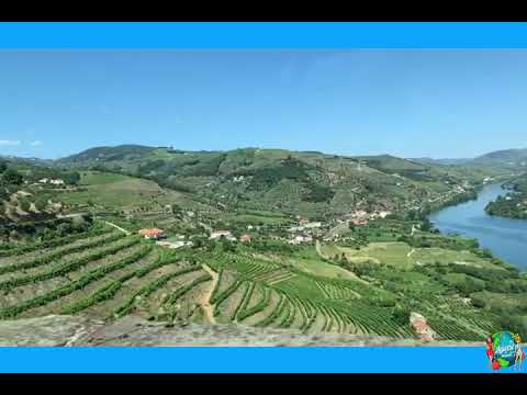O melhor do Vale do Douro