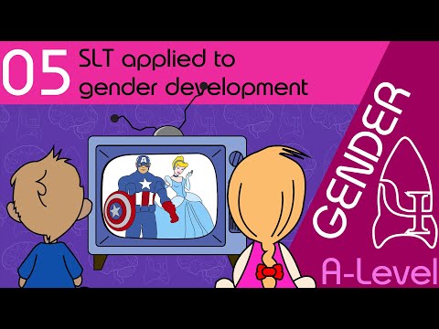 5 SLT applied to gender