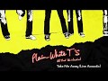Plain White T's - Take Me Away / Live Acoustic (Official Audio)