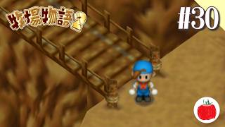 【実況】牧場物語2を初見で遊ぶいも【#30】