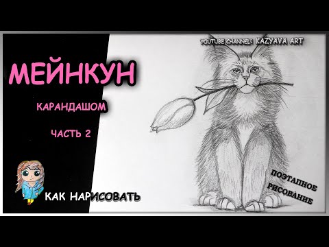 Как нарисовать шерсть МЕЙНКУНУ карандашом. Котенок с цветком. Идея для 8 марта. Часть 2