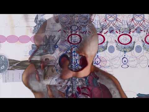 luboš plný   body language