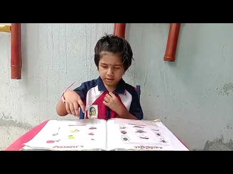 B.Bhavitha | Flowers Identification | Rise Learning World Opp New Port Railway Station, Kakinada.