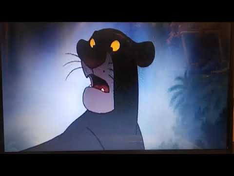 Mammal Story part 20 - 'Play Nice!' (2010)