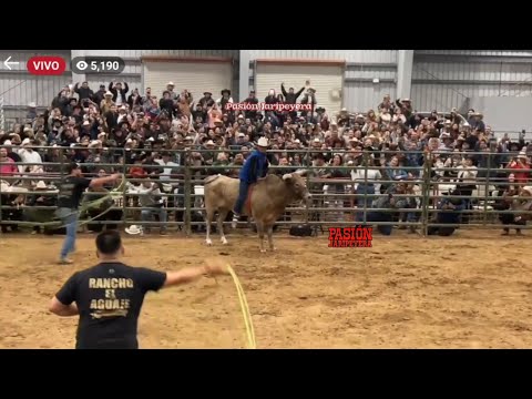 ¡G63 perdió el invicto vs Kikito de Jalisco! RANCHO EL AGUAJE en King City California 9 Nov 2024