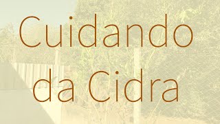 Miniatura do vídeo