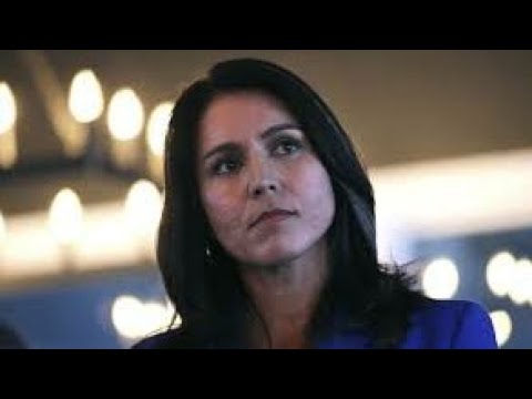 Tulsi Gabbard Malibu Town Hall Underscores DNC Corruption