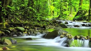 Amazing Grace   Acoustic Guitar