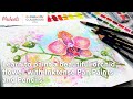 Online Class: Paint a beautiful orchid flower with Inktense Pan Paints and Pencils! | Michaels