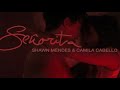 Shawn Mendes, Camila Cabello – Señorita Mp3 Shawn Mendes, Camila Cabello – Señorita Mp3