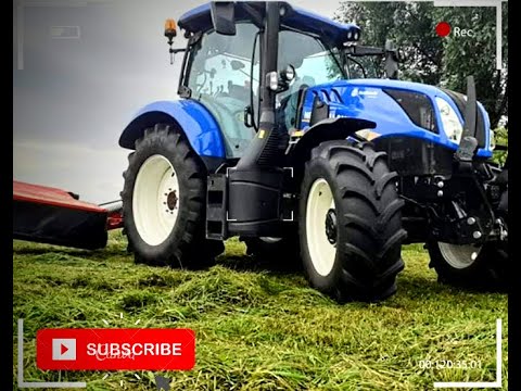 Ciąg dalszy 2 pokosu z Świerzaczkiem