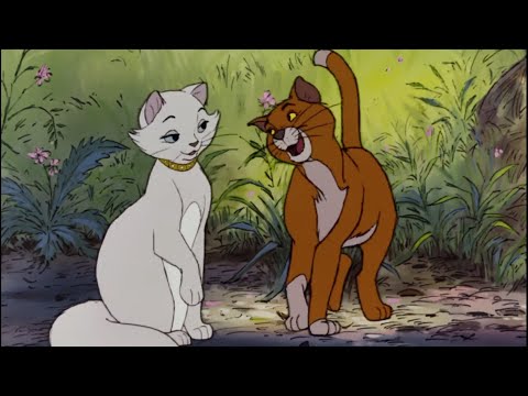 Thomas O'Malley Cat - The Aristocats