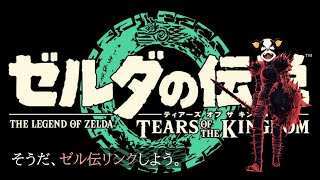 ゼルダの伝説 先っぽだけやる｜その2