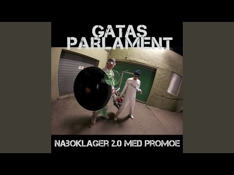 Naboklager 2.0 (feat. Promoe)