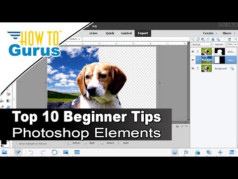 Top Ten Things You Should Know in Photoshop Elements Expert Mode for Beginners