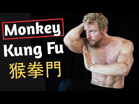 Shadowboxing with Monkey Kung Fu Techniques - Monkey Xinyi Ba