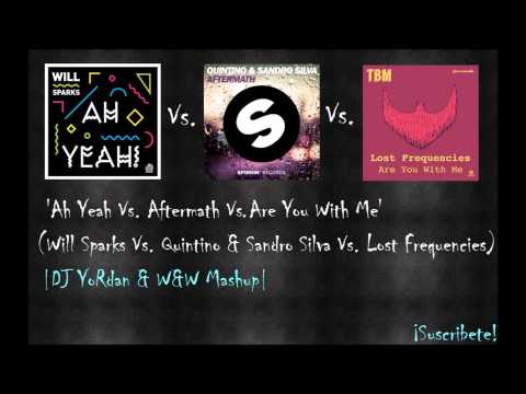 'Ah Yeah Vs Aftermath Vs Are You With Me' - DJ YoRdan & W&W Mashup
