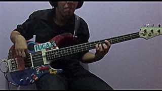 Red Hot Chili Peppers - Animal Bar (Bass Cover)