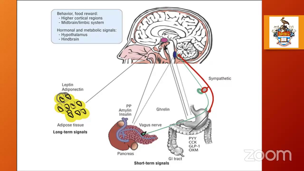 PMH CME Department - Managing Obesity