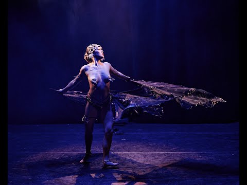 Mam'selle MissKitty - L'envolée divine -