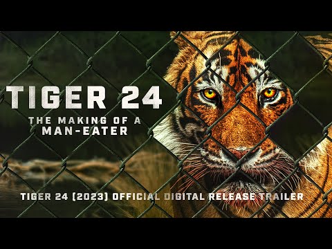 TIGER 24 trailer