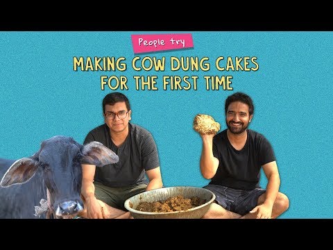 People Try Making Cow Dung Cakes For The First Time | Ft. Kanishk | Ok Tested