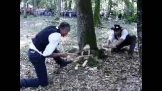 preview picture of video 'Paucourt - Fête de la Forêt 2014 - Abattage d'un chêne au passe-partout et à la cognée'
