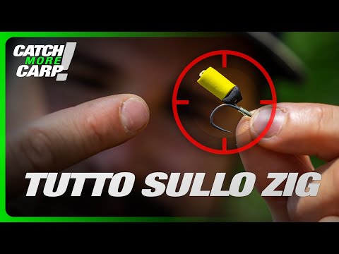 TUTTO quello che c'è da sapere SULLO ZIG! 🧠💡Questo video ti farà catturare più carpe! 🎣🤩