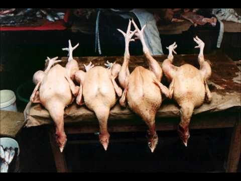 TUGGAWAR - BENCH & BATTY {FOWLIE AKA MOLIE DON & SHANTI AKA PANTY FORCE DISS ! BURIAL !