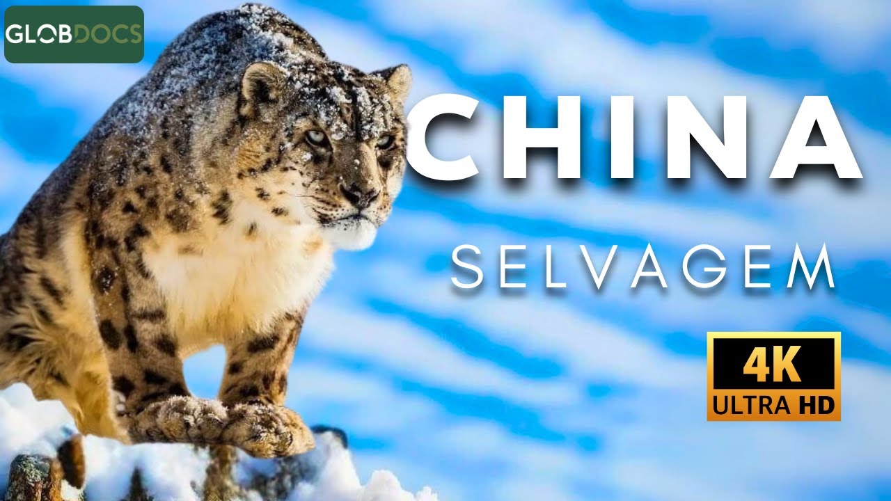 WILD CHINA: A Journey through the Land of the Dragon [Complete Documentary]