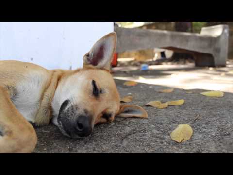 ¿Qué hace la perfección?