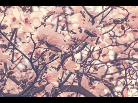 Весна идет / Vesenniye vody Fyodor Tyutchev