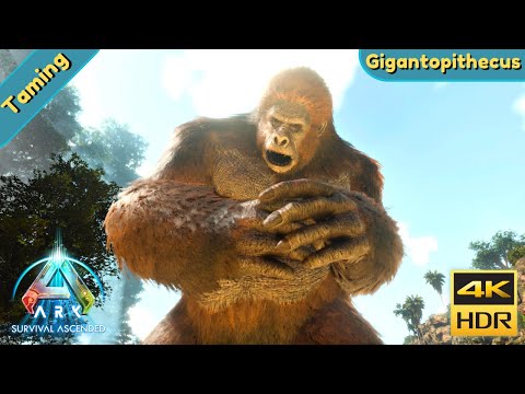 ARK Survival Ascended : Tame a Gigantopithecus
