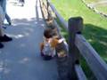 A Day At The Detroit Zoo