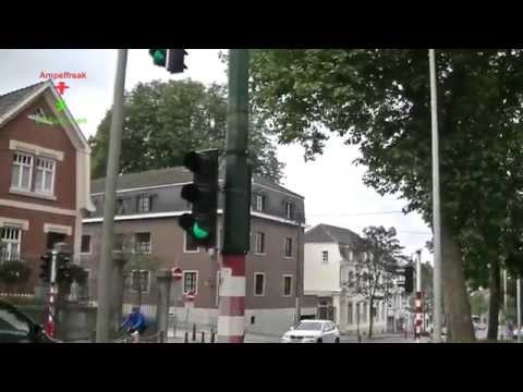 Belgische Ampel: Zelisko Standard Fußgänger LSA