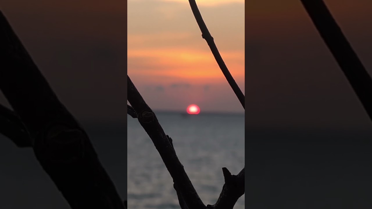 YouTube Short thumbnail