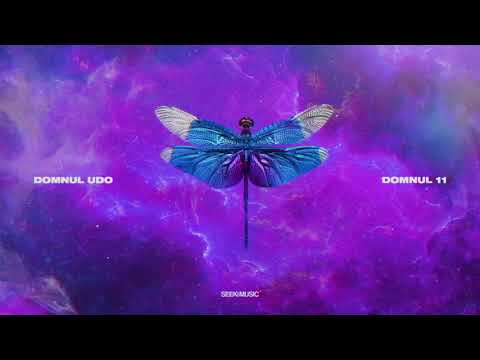 Domnul Udo - LOIV feat. Super ED (Audio)