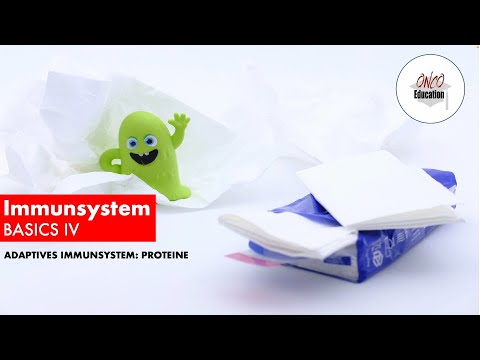Immunsystem Basics IV: Adaptive Immunität - Proteine