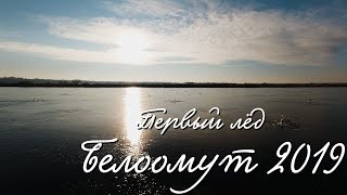 Рыбалка на оке под белоомутом 2020