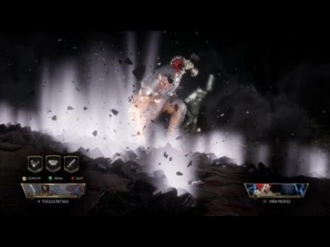 Mortal Kombat 11 [ jax mirror ]