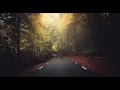 AZEDIA - Agony 