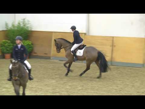 107. Cascafino v. Cascadello I - Corofino I