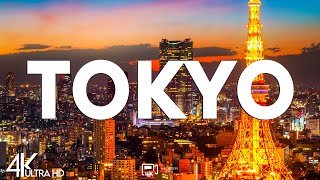 Top 10 Best Things to Do in Tokyo, Japan [Tokyo Travel Guide 2025]