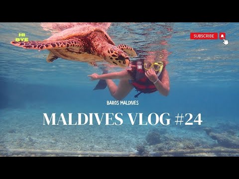Hello from Baros Maldives! [MALDIVES VLOG #24]