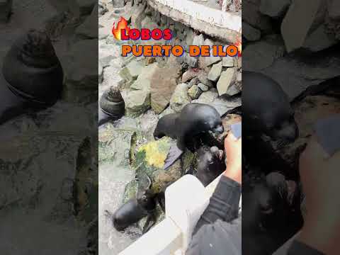 En el hermoso puerto de ILO , Ubicado en el sur del pero Moquegua  #ilo
