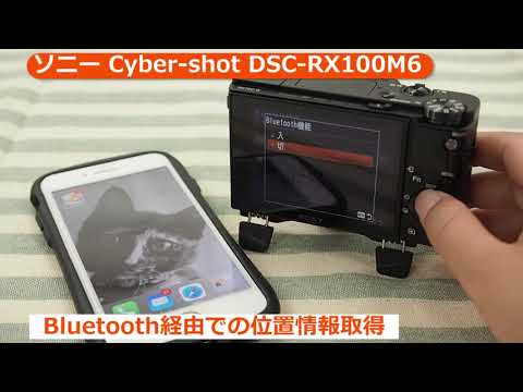 カメラ デジタルカメラ DSC-RX100M6 新品 106,800円 中古 67,980円 | ネット最安値の価格比較 