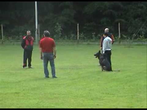 BH Eik vom Schiffweiler Land