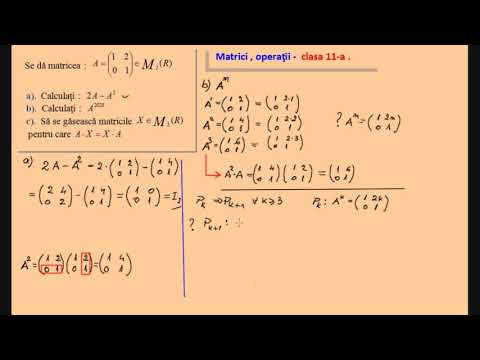 Matrici. Operatii - Exercitii rezolvate (clasa a XI-a)